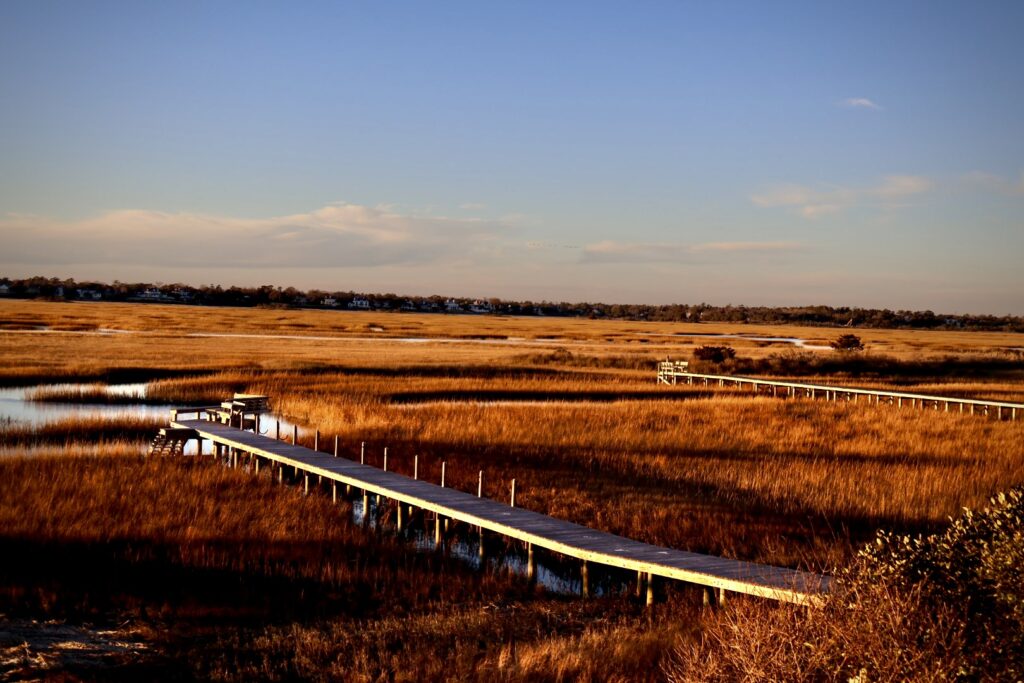 Wilmington, North Carolina Views